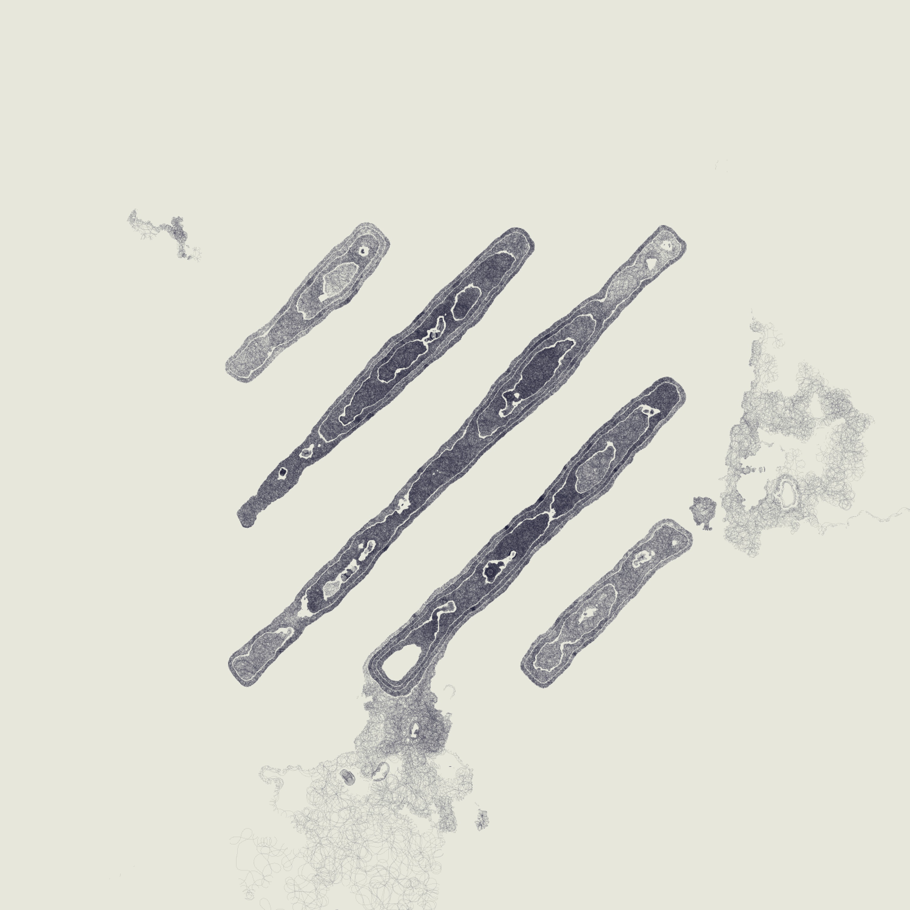 Decal 1 by Kjetil Golid