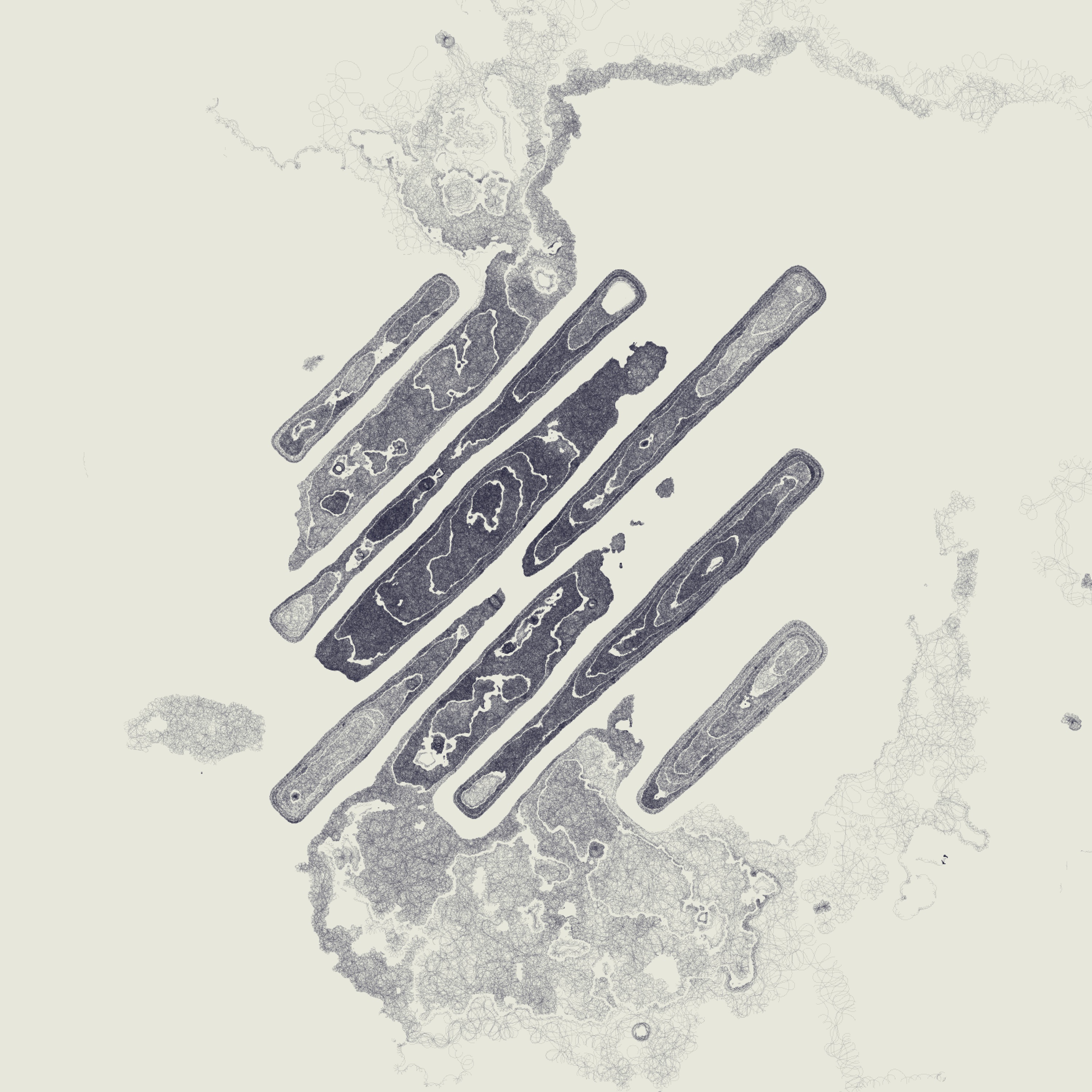Decal 1 by Kjetil Golid